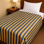 100% Cotton Single Bedsheet 60 x 90 Inches (153 X 230 cm) Soft Breathable Bed Sheet for Bedroom, Hostel & Guest Room | Lightweight Durable Bedding